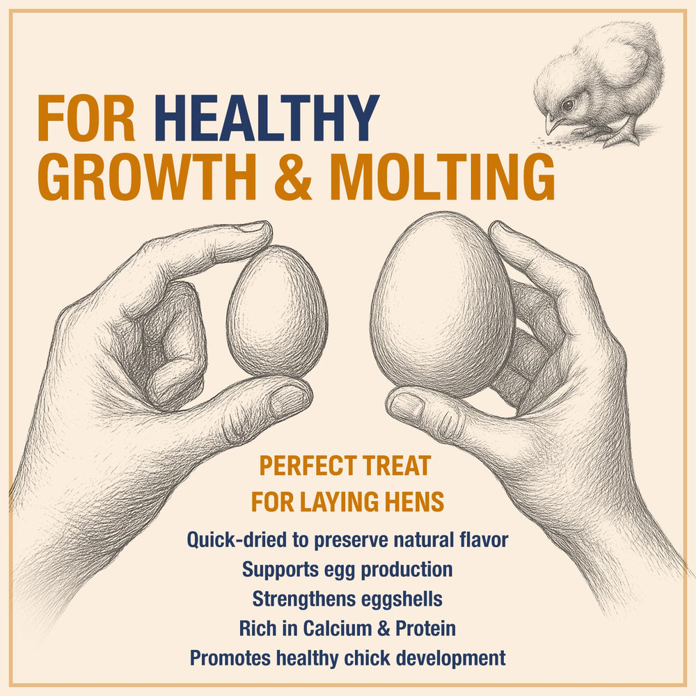 PureGrubs BSFL larvae feeding chickens—multi-species treat that supports molting.