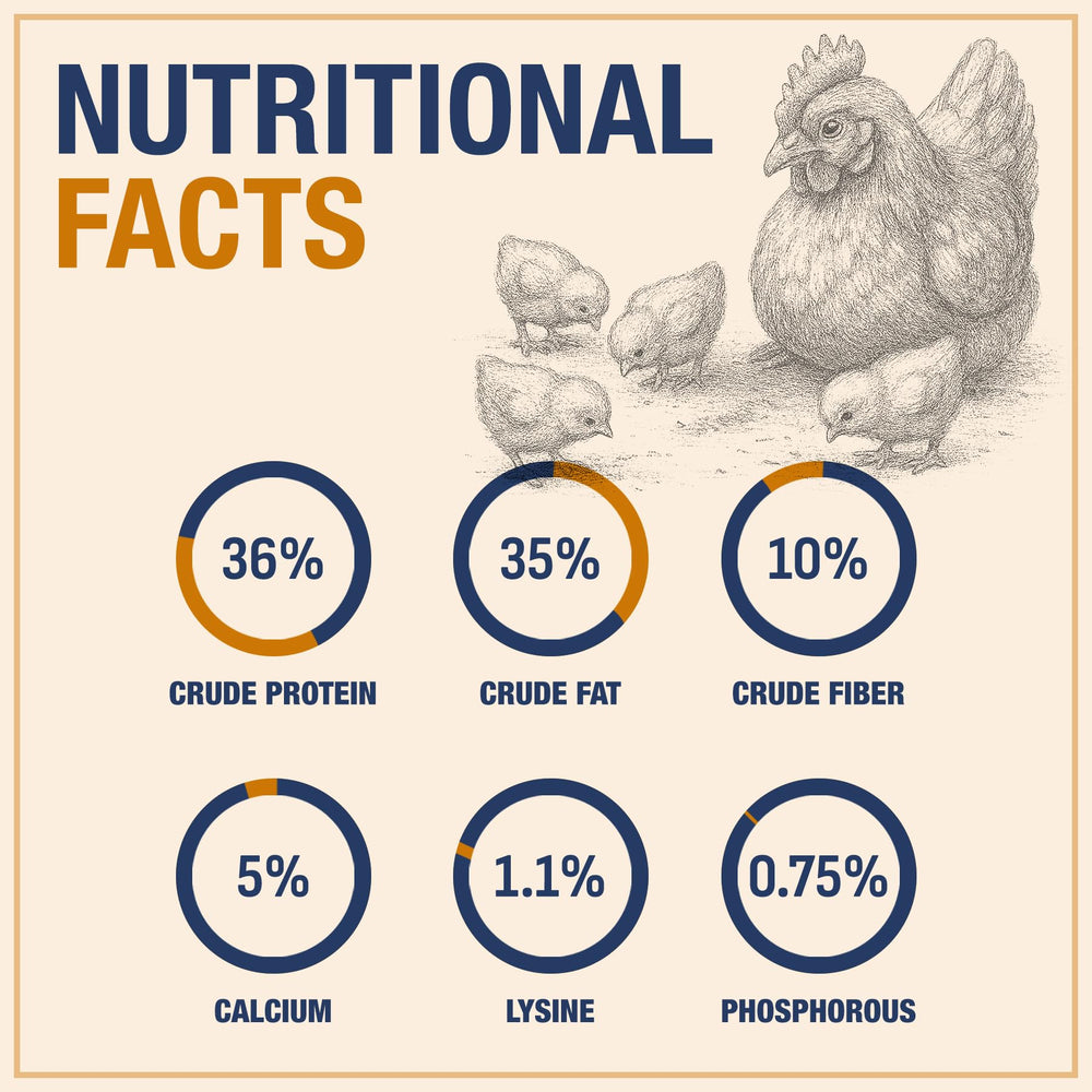 PureGrubs BSFL larvae multi-species treat—suitable for ducks and reptiles.