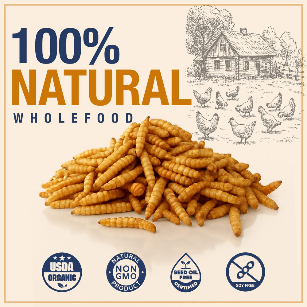 PureGrubs BSFL bag-pour captures easy feeding and training moments.
