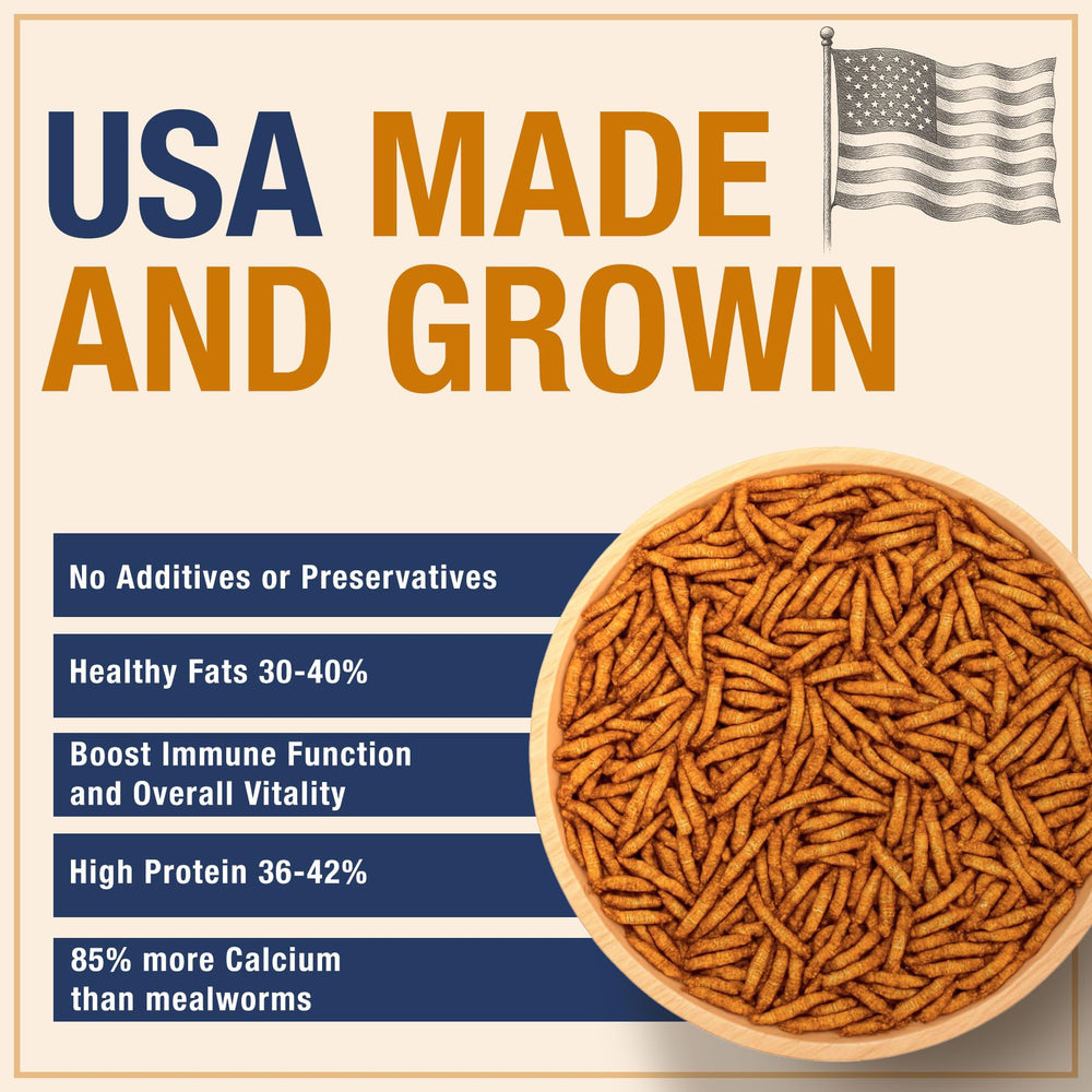 PureGrubs BSFL crispy-crumbs highlight naturally dried texture for flock snacking.