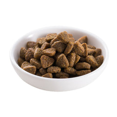 Dog eating from bowl with PURELUXE shows mealtime satisfaction and balanced nutrition