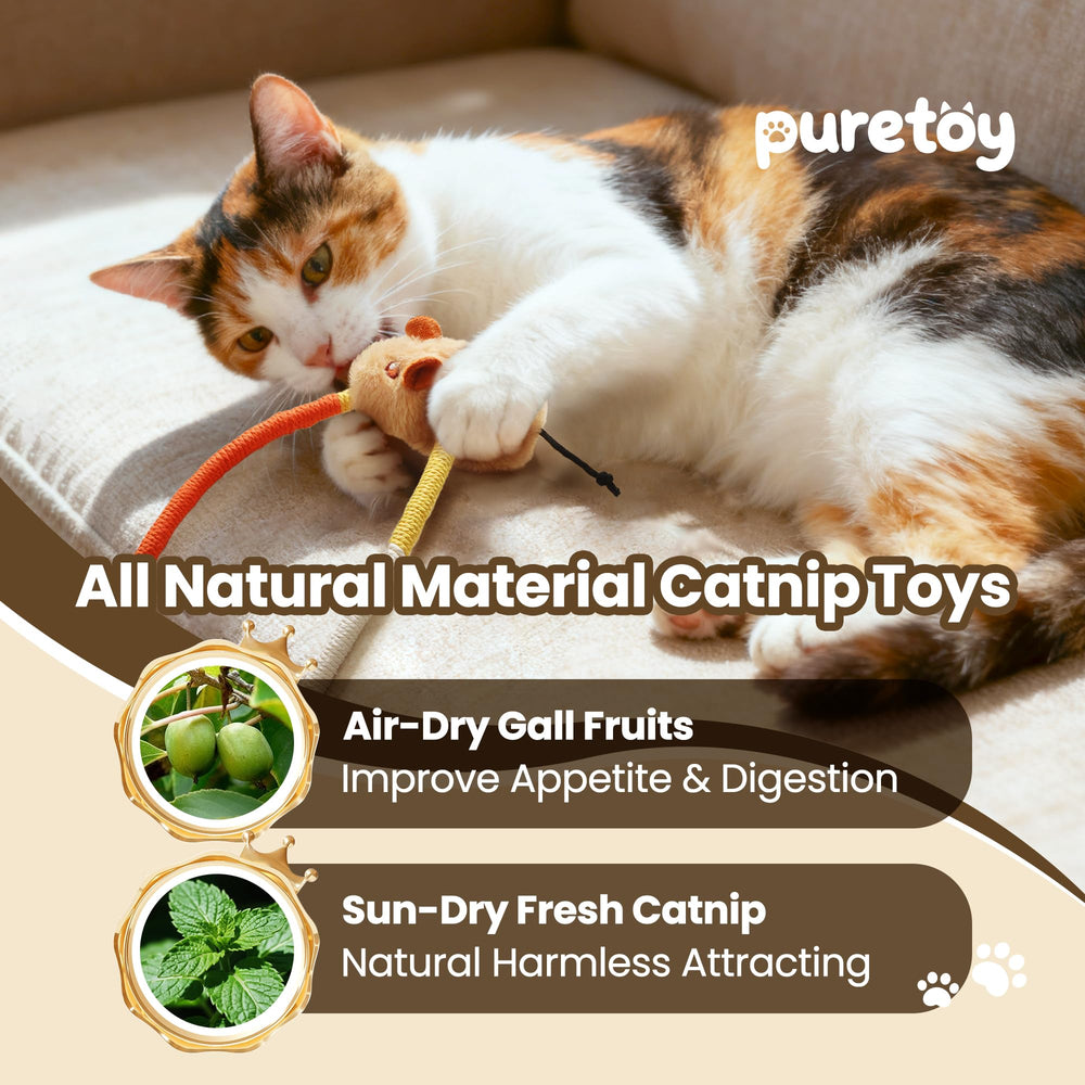 Puretoy gall fruits ends add extra attraction for gnawing and dental-friendly interaction.