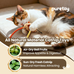Puretoy gall fruits ends add extra attraction for gnawing and dental-friendly interaction.