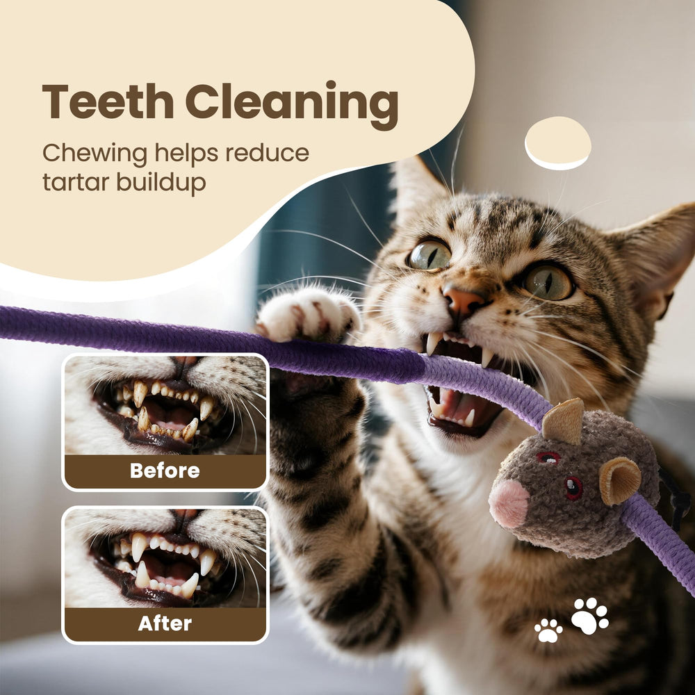 Puretoy indoor cat enrichment scene demonstrates interactive play with multiple textures.