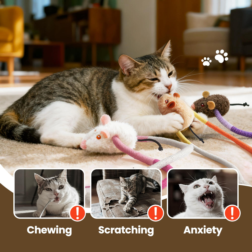 Puretoy kitten teething toy helps soothe gums during playful sessions.