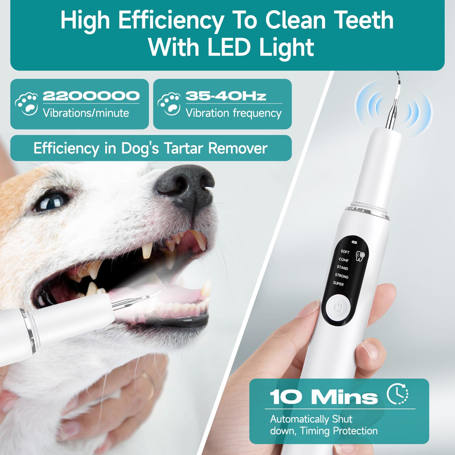 Purfur Dog Toothbrush demonstrates quiet, low-noise operation for stress-free grooming.