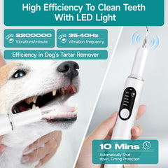 Purfur Dog Toothbrush demonstrates quiet, low-noise operation for stress-free grooming.