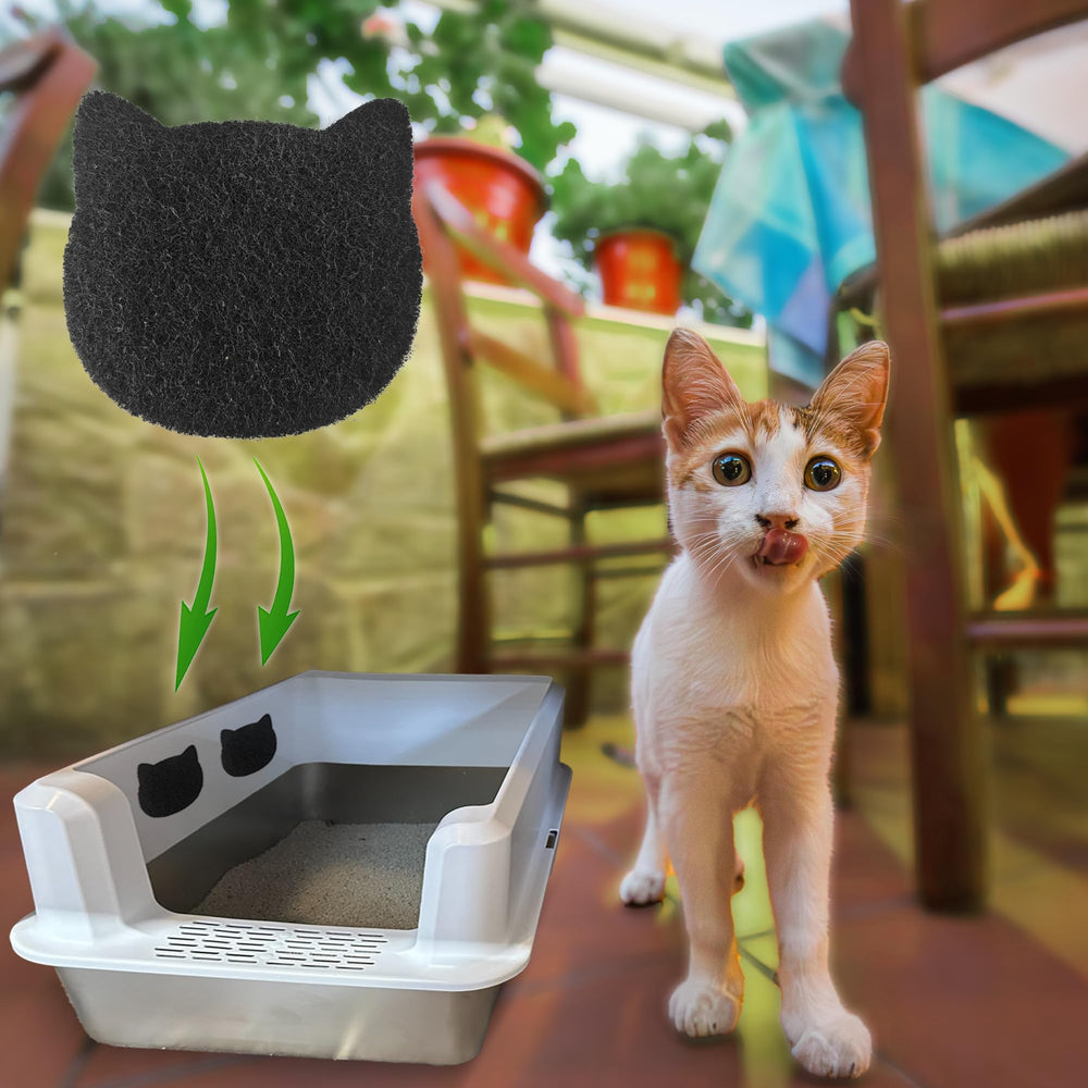 PurifyLogix natural coconut shell materials highlight eco-friendly, pet-safe filters