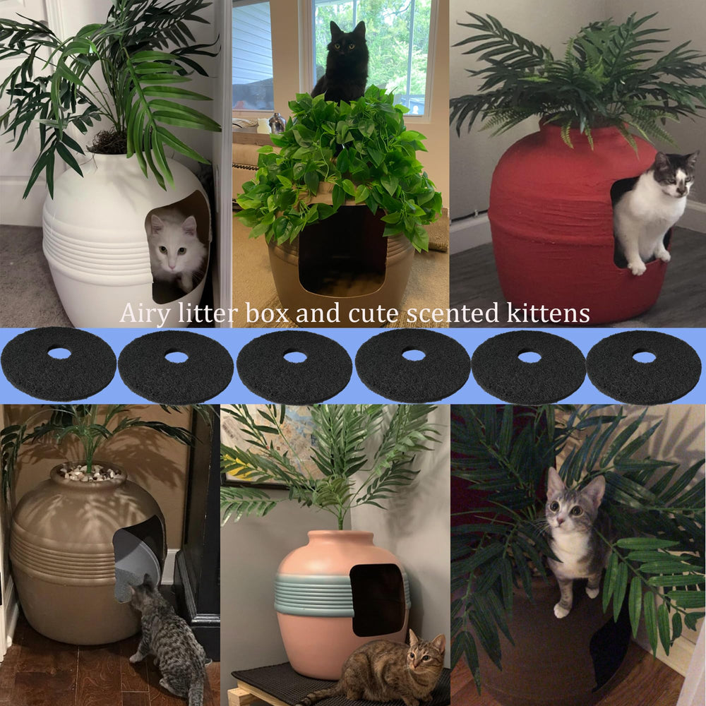 PurifyLogix odor-control performance in home litter area.