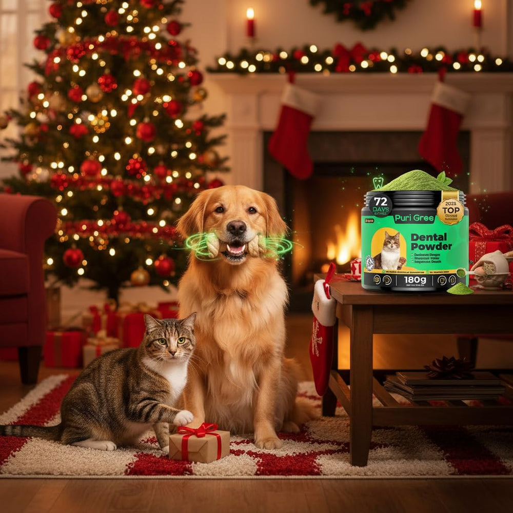 PuriGree dog dental powder being sprinkled over food for easy daily use.