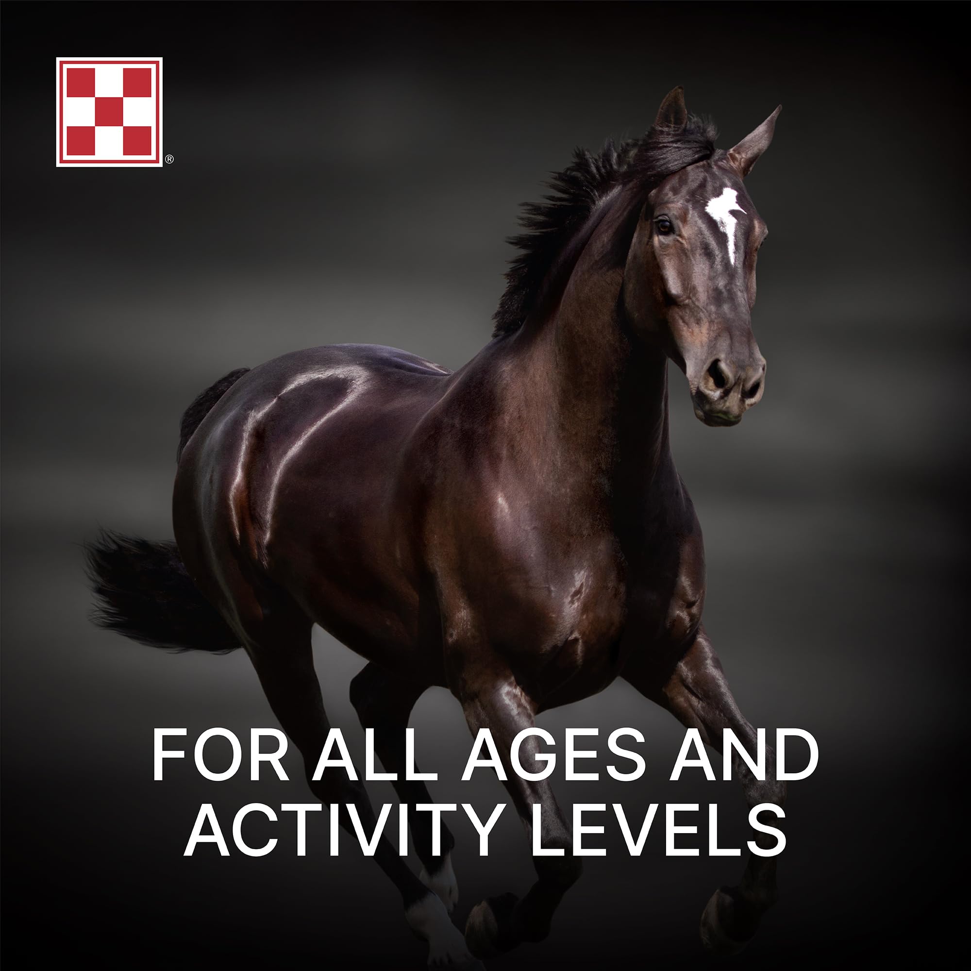 Purina Amplify high-fat horse supplement measuring scoop demonstrates convenient dosage