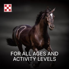 Purina Amplify high-fat horse supplement measuring scoop demonstrates convenient dosage