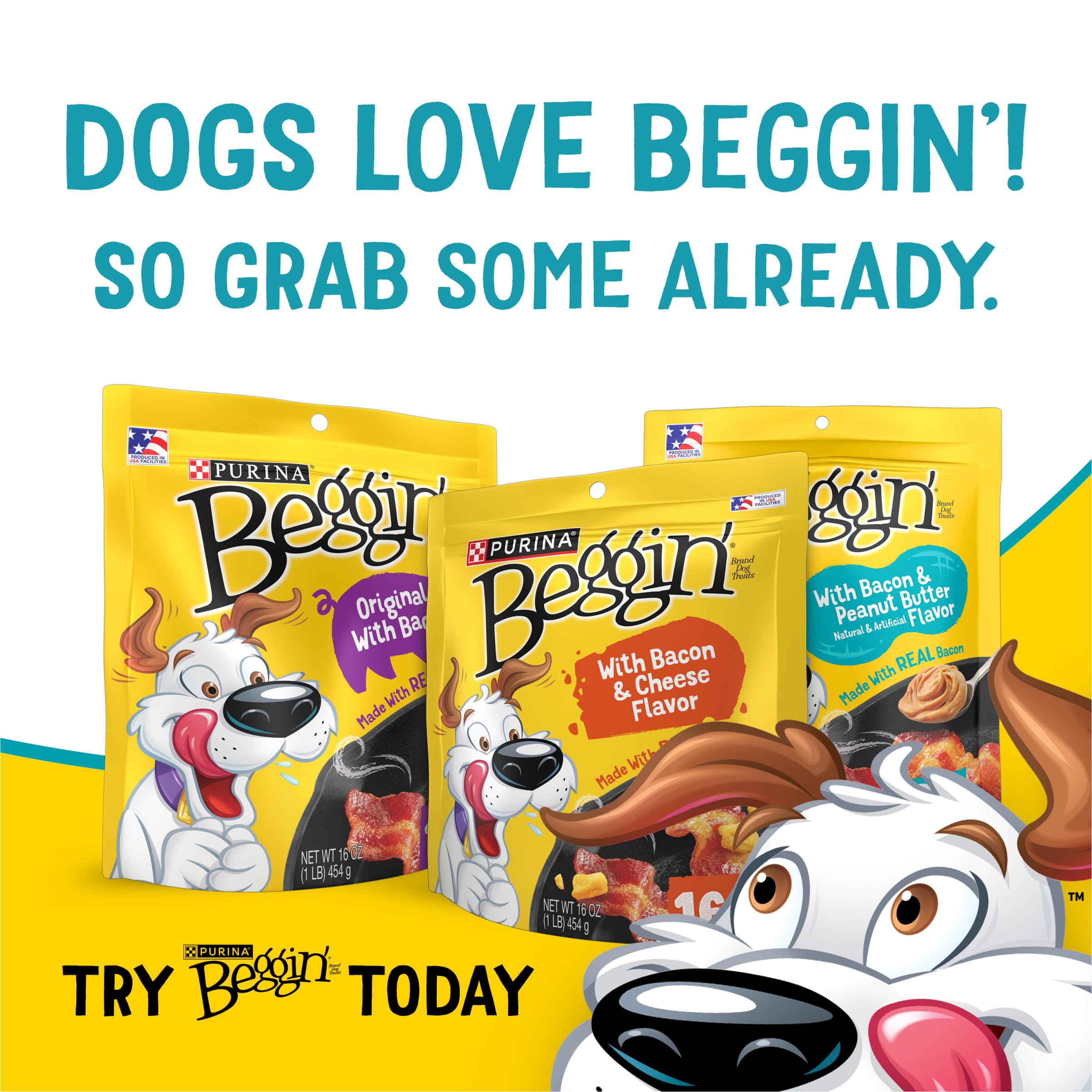 Purina Beggin’ 40 oz pouch packaging—long-lasting snacking convenience.