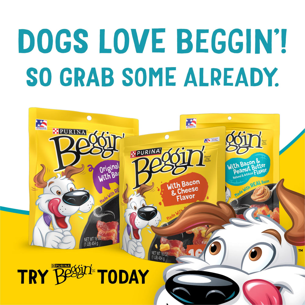 Purina Beggin’ 40 oz pouch packaging—long-lasting snacking convenience.