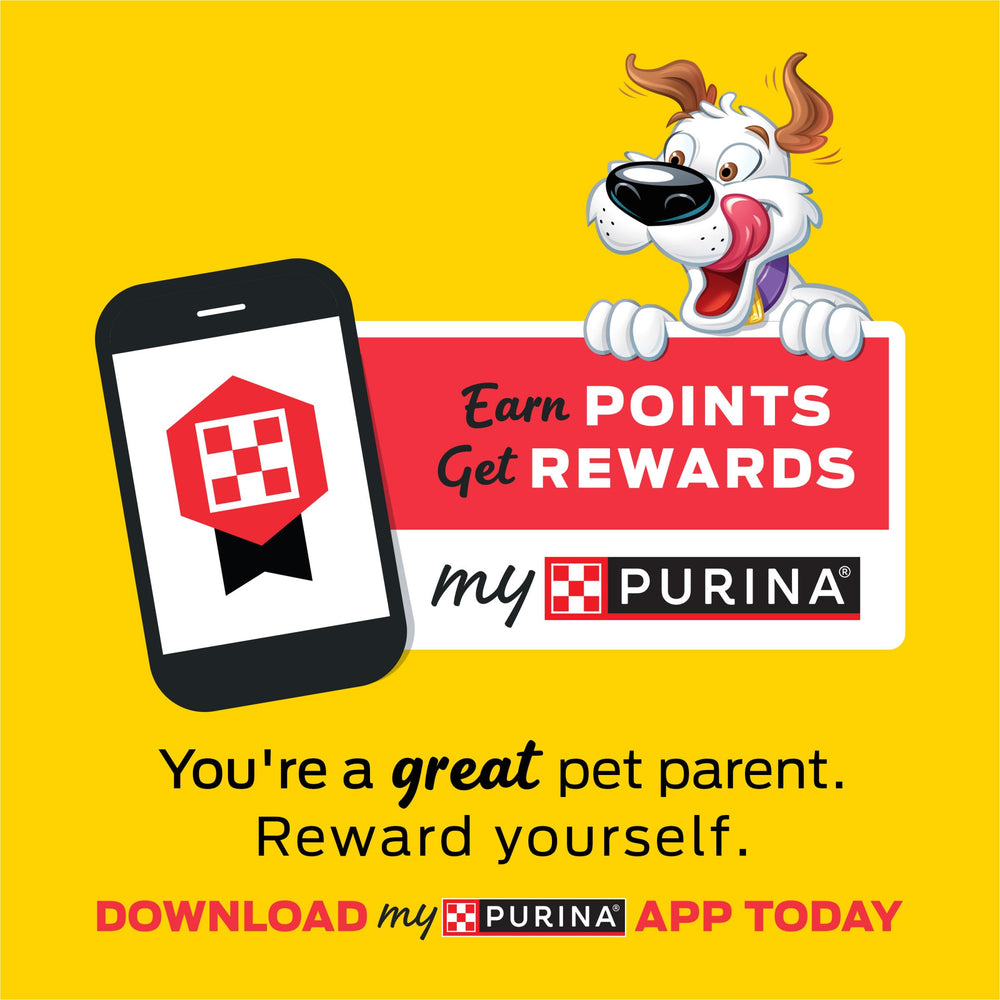 Purina Beggin' Strips no artificial colors visual appeals to selective owners.