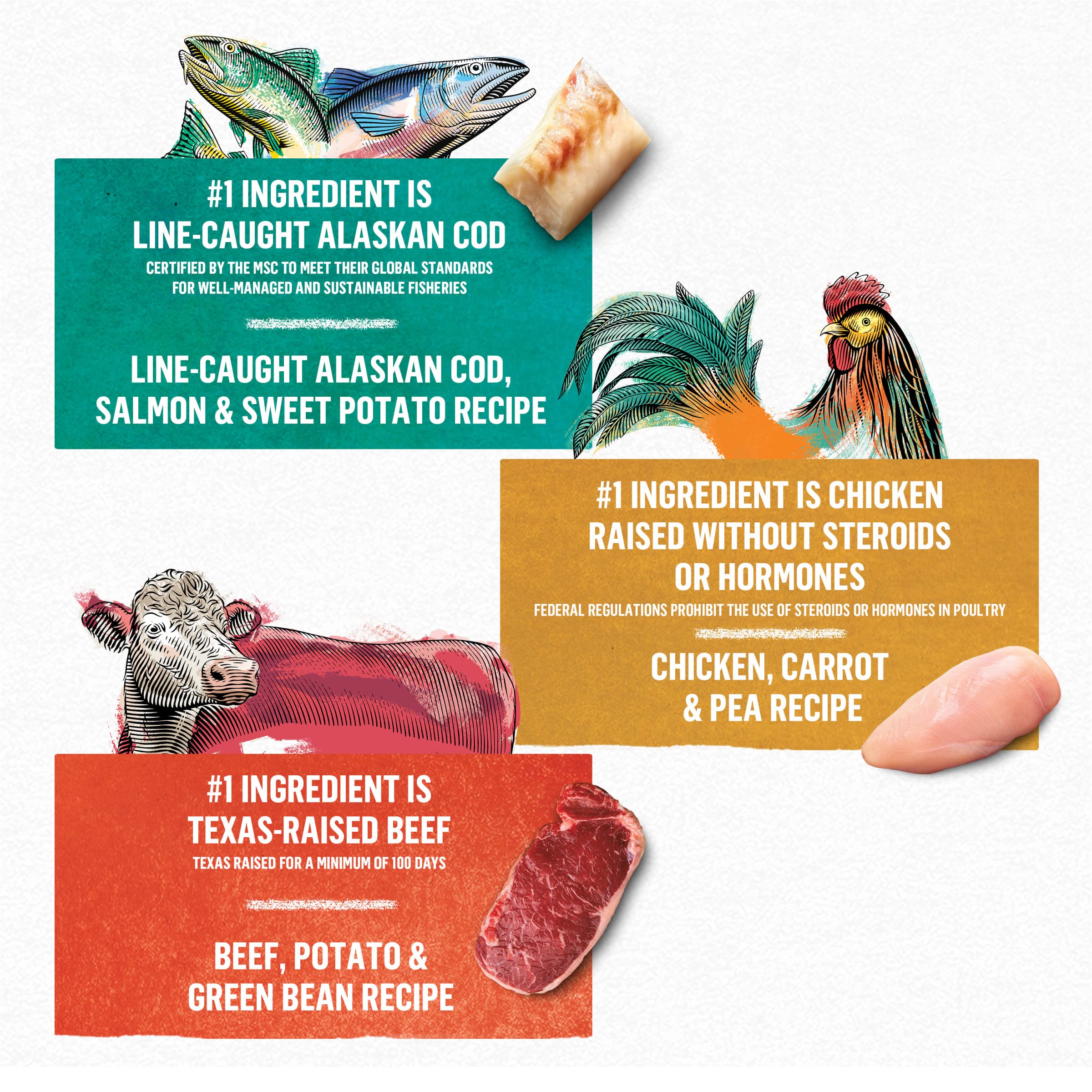 Purina Beyond Beef Entree close-up with Texas beef as first ingredient