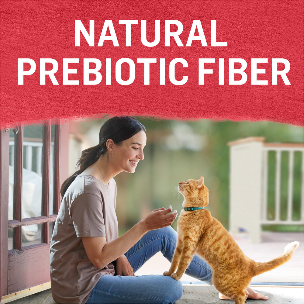 Purina Beyond ingredients closeup with carrots and spinach, natural prebiotic fiber.