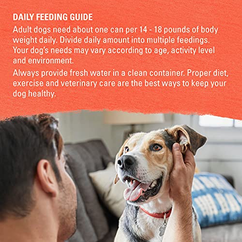 Purina Beyond Organic Wet Dog Food adult dog meal in dish suggests wholesome nutrition.