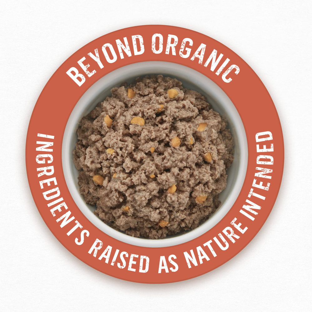 Purina Beyond Organic Wet Dog Food chicken pieces highlight protein-rich entree for active dogs.