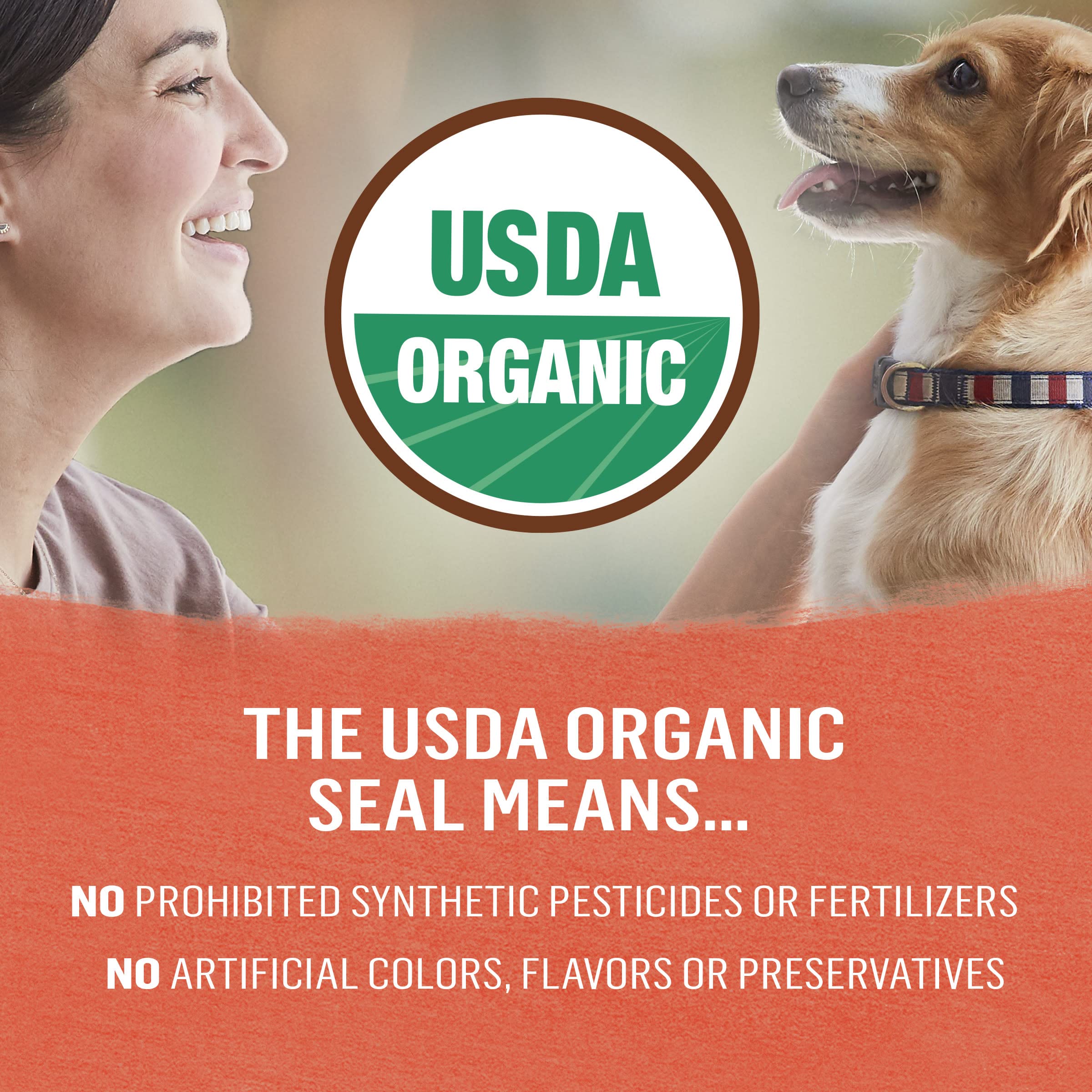 Purina Beyond Organic Wet Dog Food serving bowl shows ready-to-serve meal for dogs.