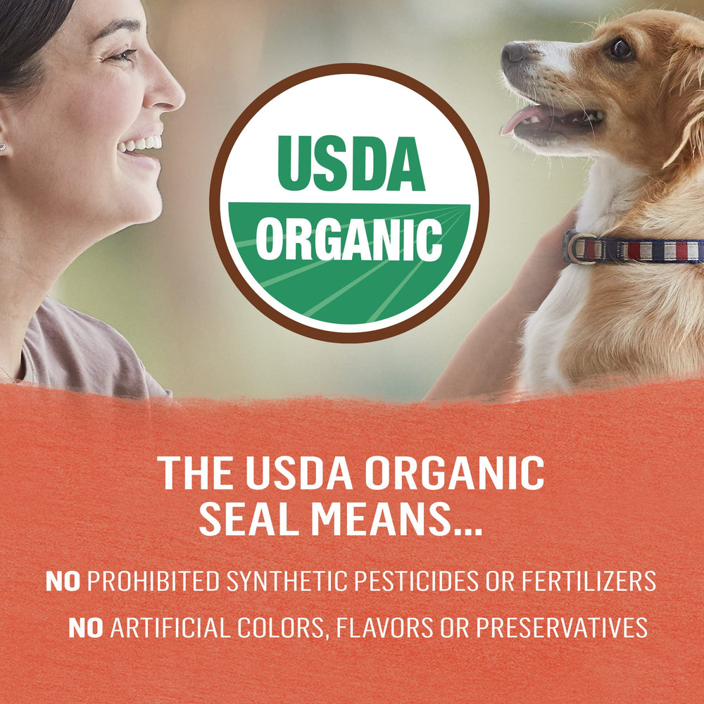 Purina Beyond Organic Wet Dog Food serving bowl shows ready-to-serve meal for dogs.