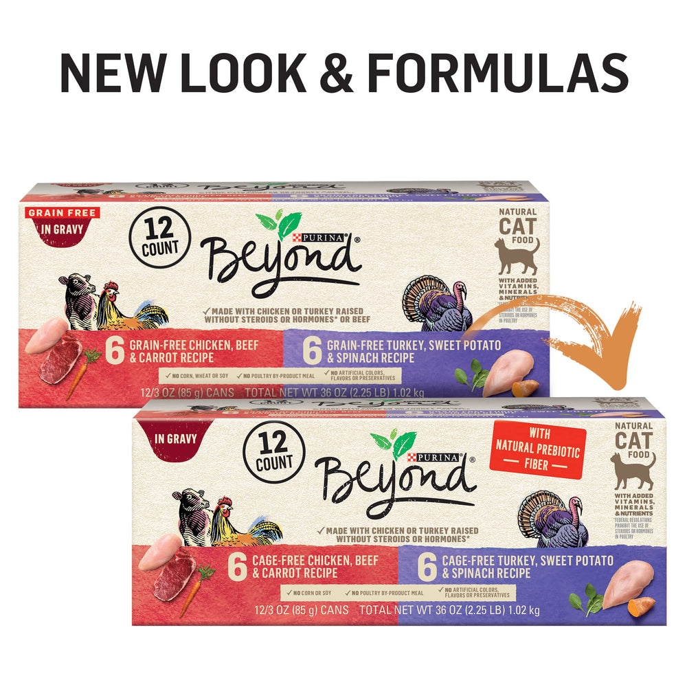 Purina Beyond turkey cage-free can front, savory gravy for meals.