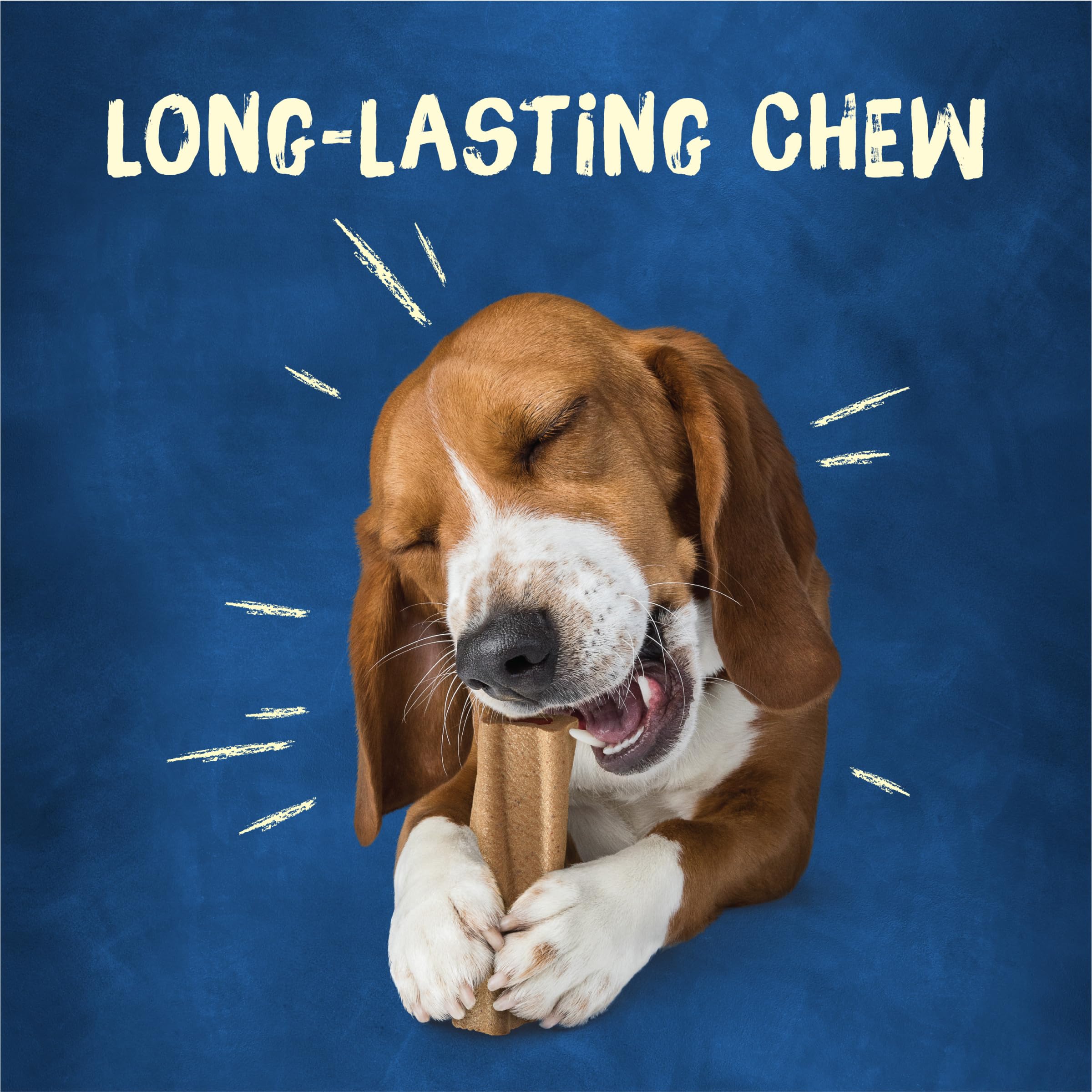 Purina Busy Bone Original 10ct outer layer texture close-up on durable chew