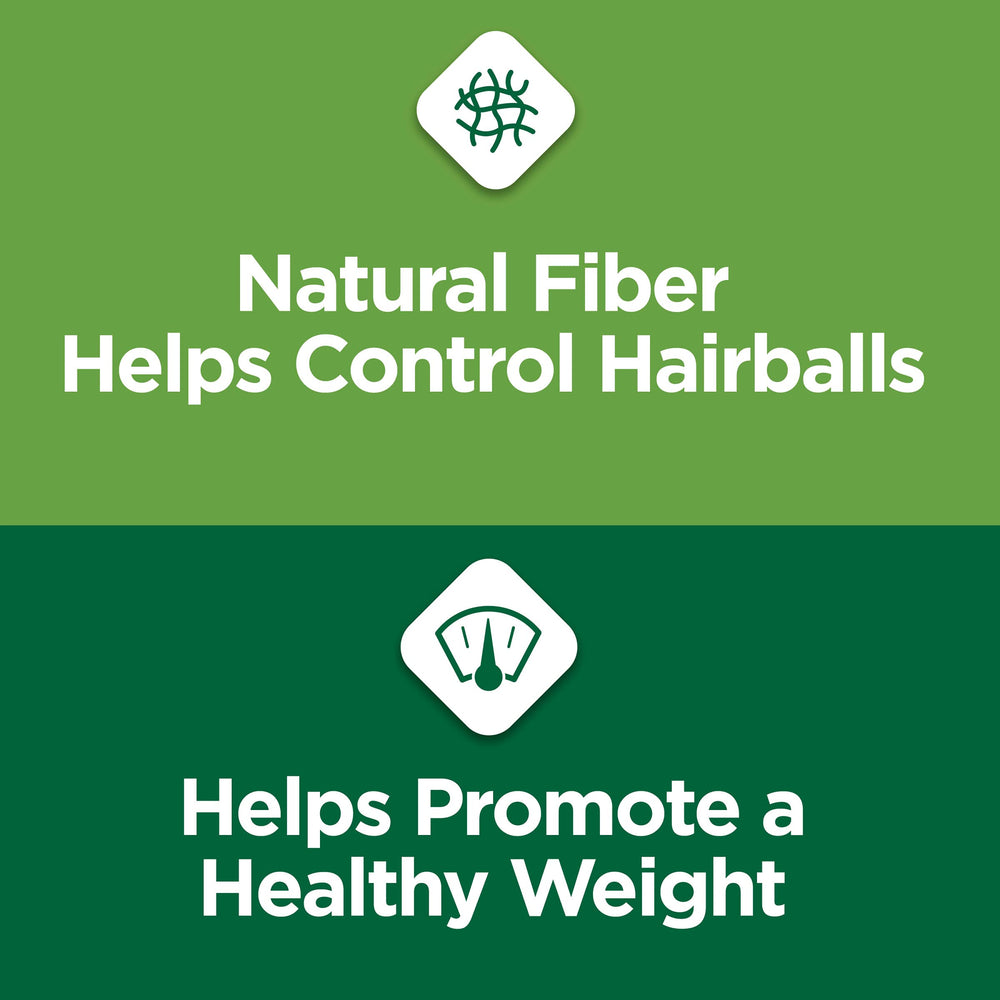 Purina Cat Chow Indoor chicken kibble close-up highlights savory taste.