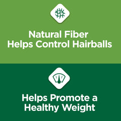 Purina Cat Chow Indoor chicken kibble close-up highlights savory taste.