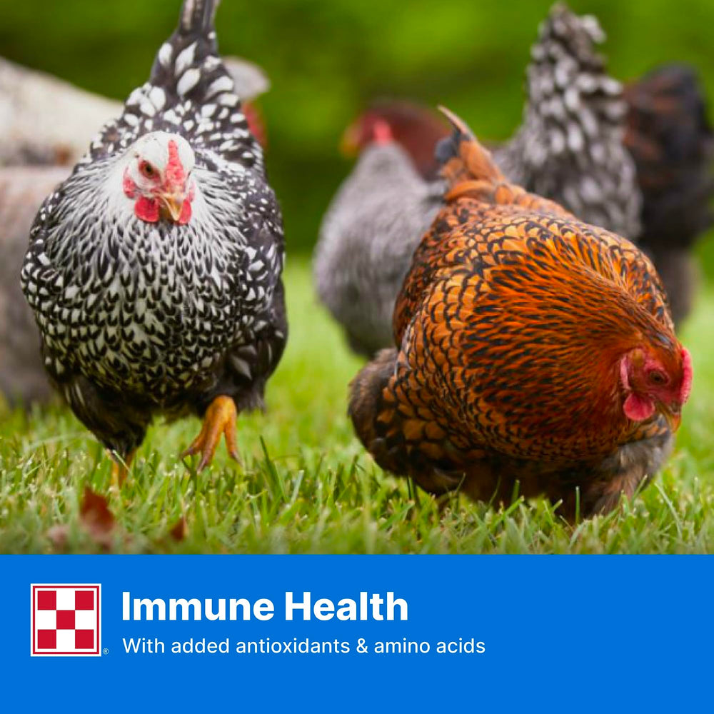 Purina Layena pellets balanced nutrition for laying hens during production.