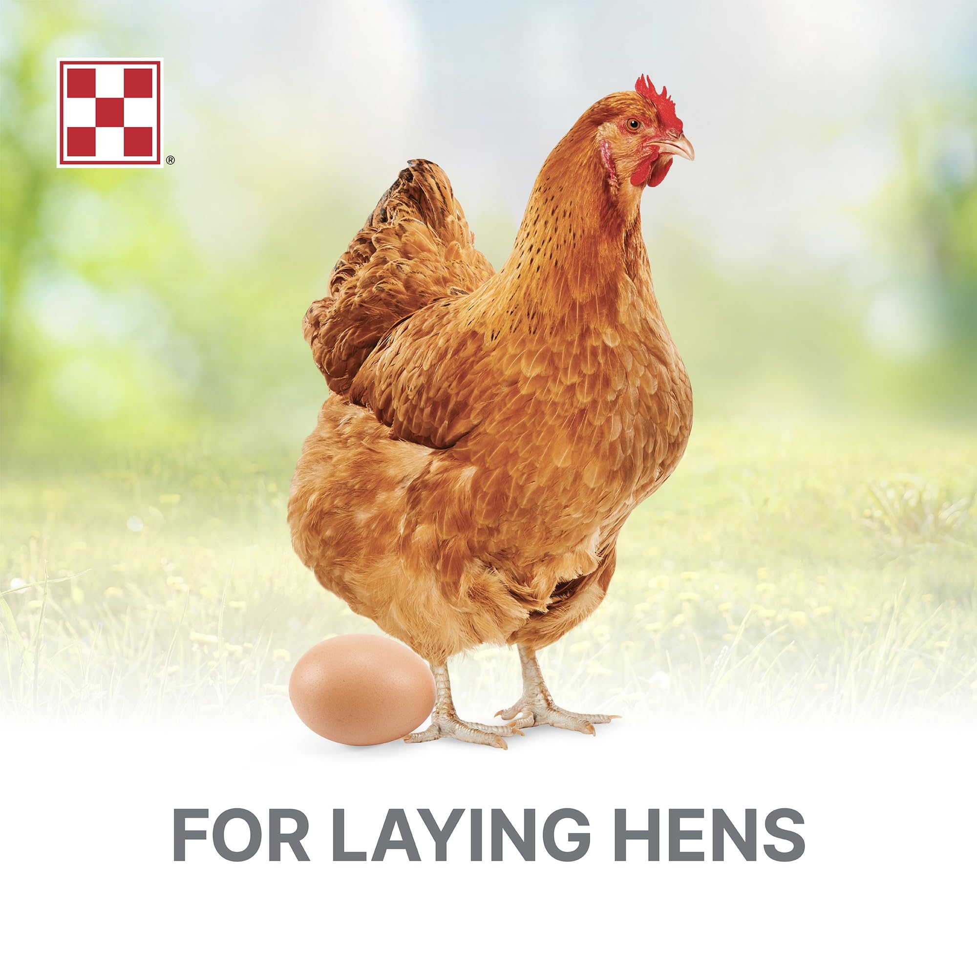 Purina Layena pellets pellet-form reduces waste and keeps coops cleaner.