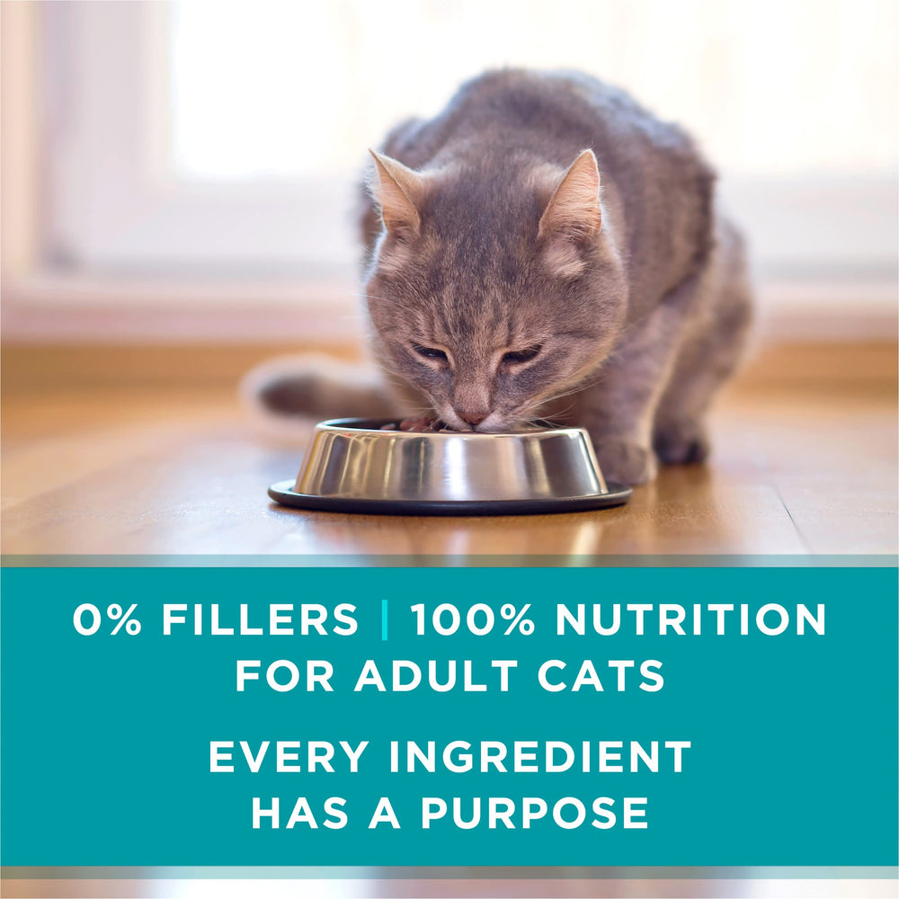 Purina One antioxidants badge signals immune-supporting ingredients.