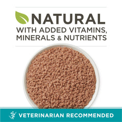 Purina One beef-liver pate close-up highlighting real meat flavor.