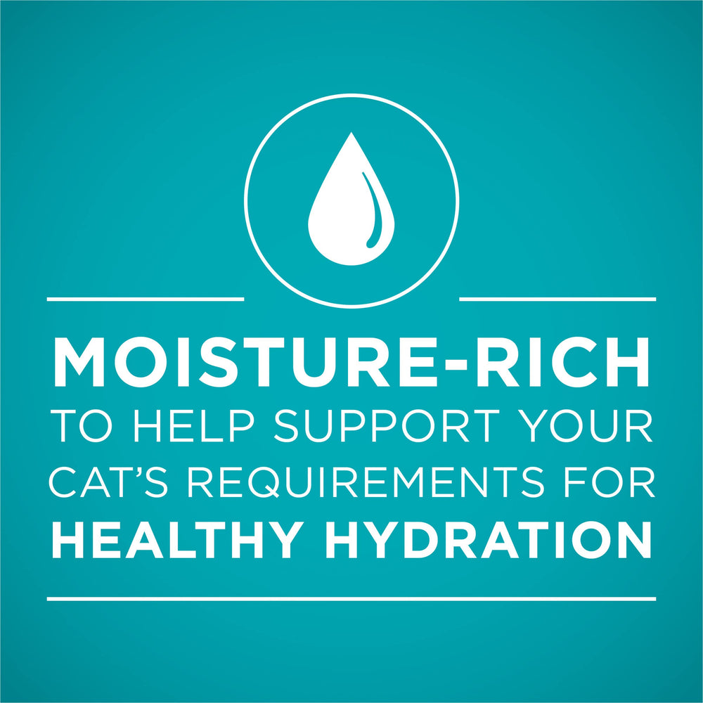 Purina One cat eating urinary health wet food shows smooth pate appeal.