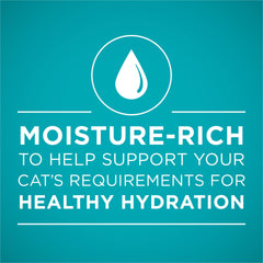 Purina One cat eating urinary health wet food shows smooth pate appeal.