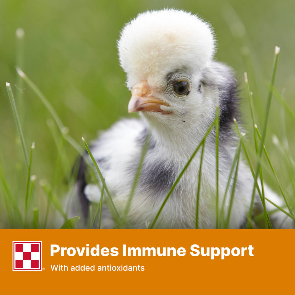 Purina Start and Grow marigold extract color brightens beaks and shanks in young birds