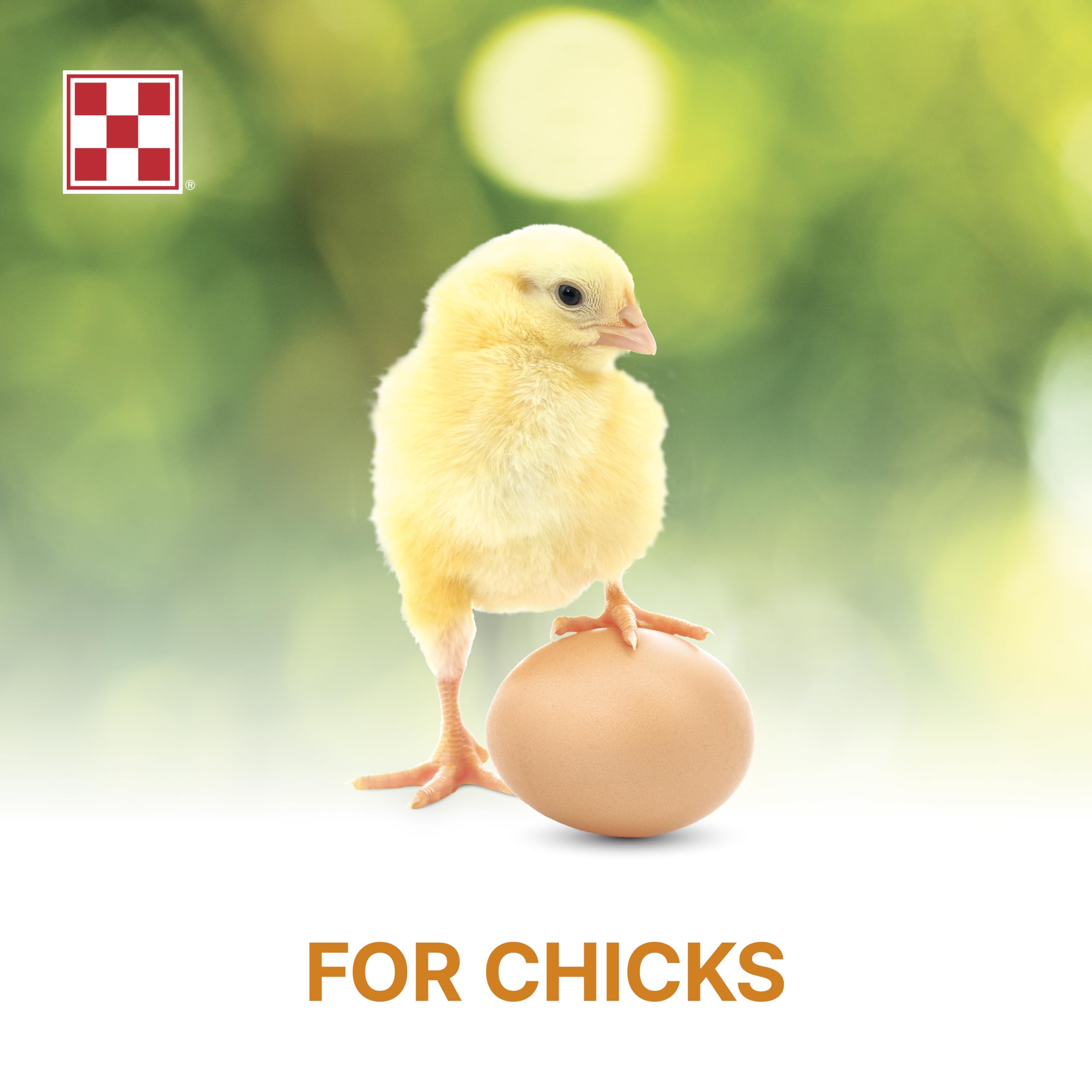 Purina Start and Grow growth-stage chicks visualizes healthy development with fortified vitamins
