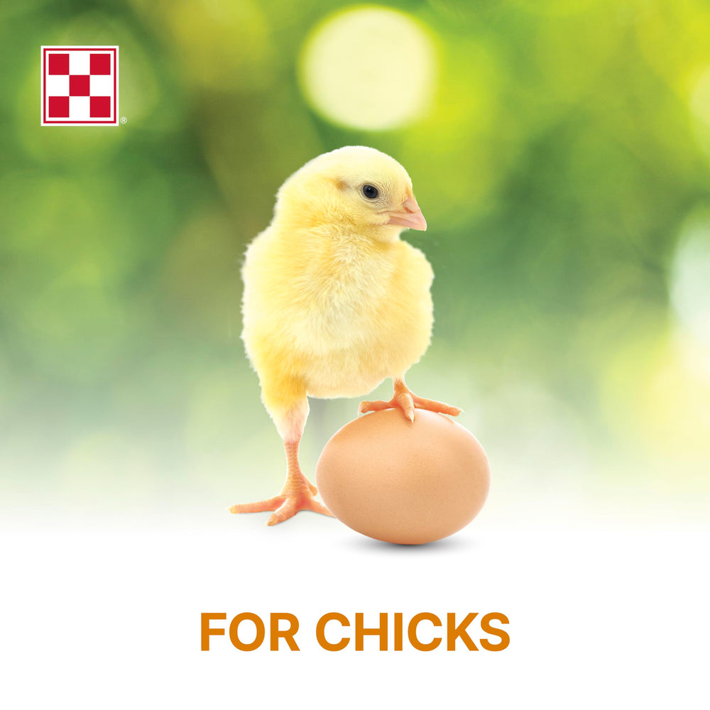 Purina Start and Grow growth-stage chicks visualizes healthy development with fortified vitamins