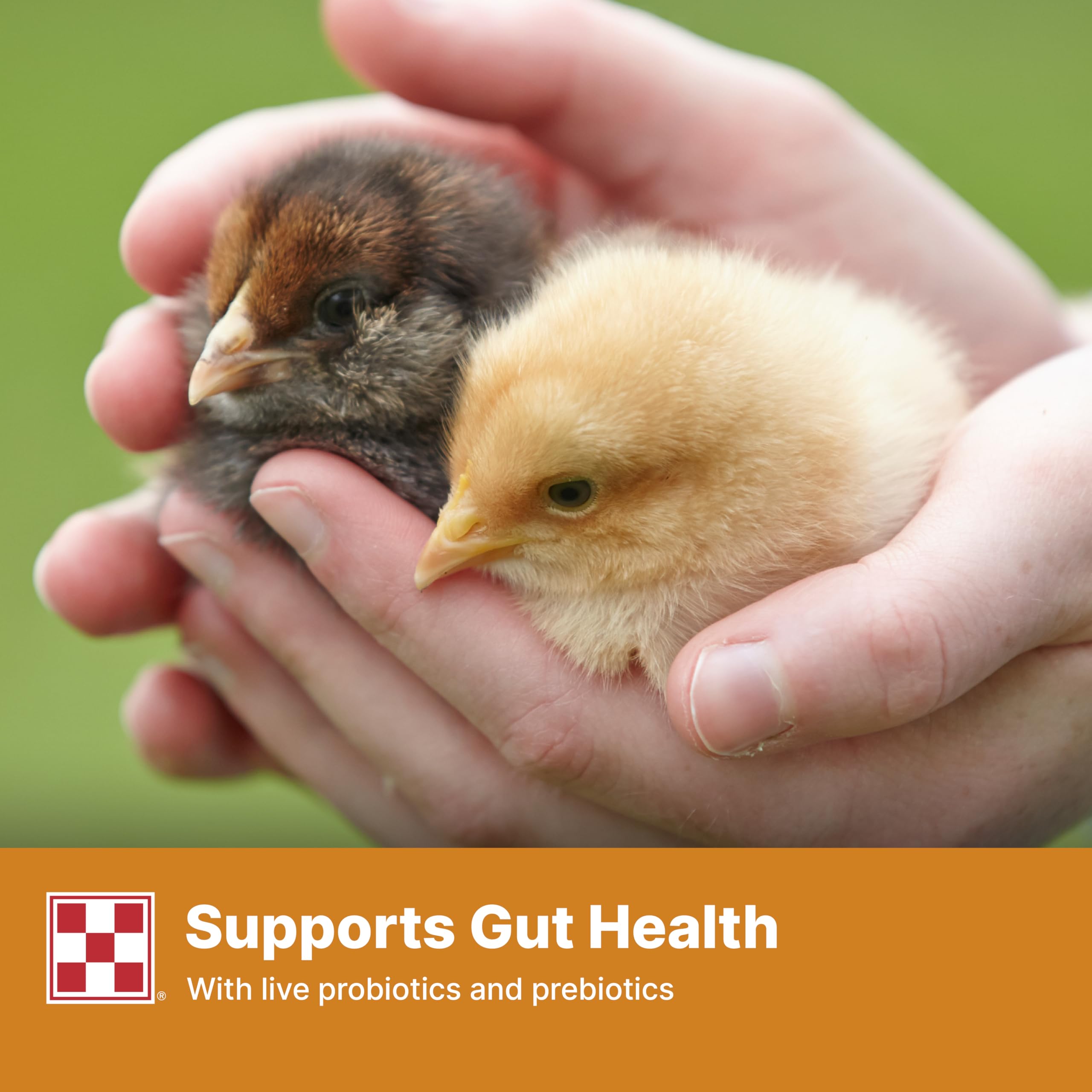Purina Start and Grow prebiotics probiotics label emphasizes immune and digestive health support