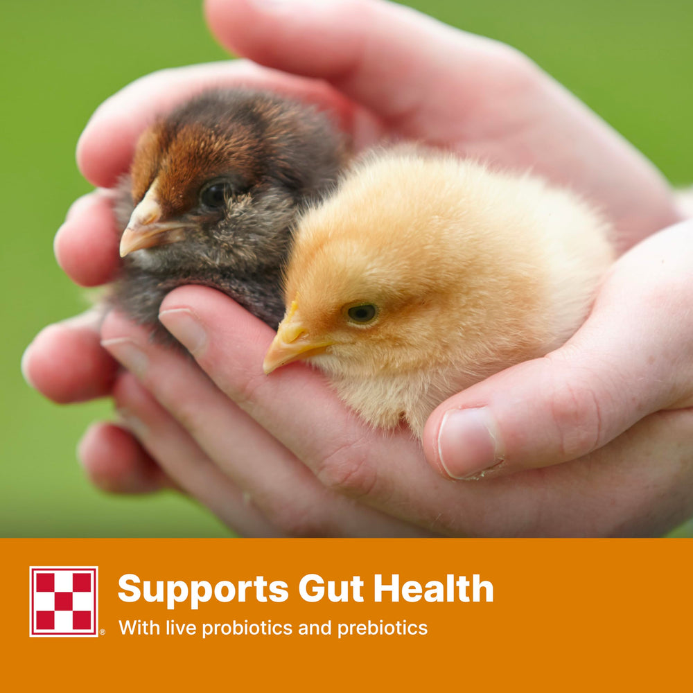 Purina Start and Grow prebiotics probiotics label emphasizes immune and digestive health support