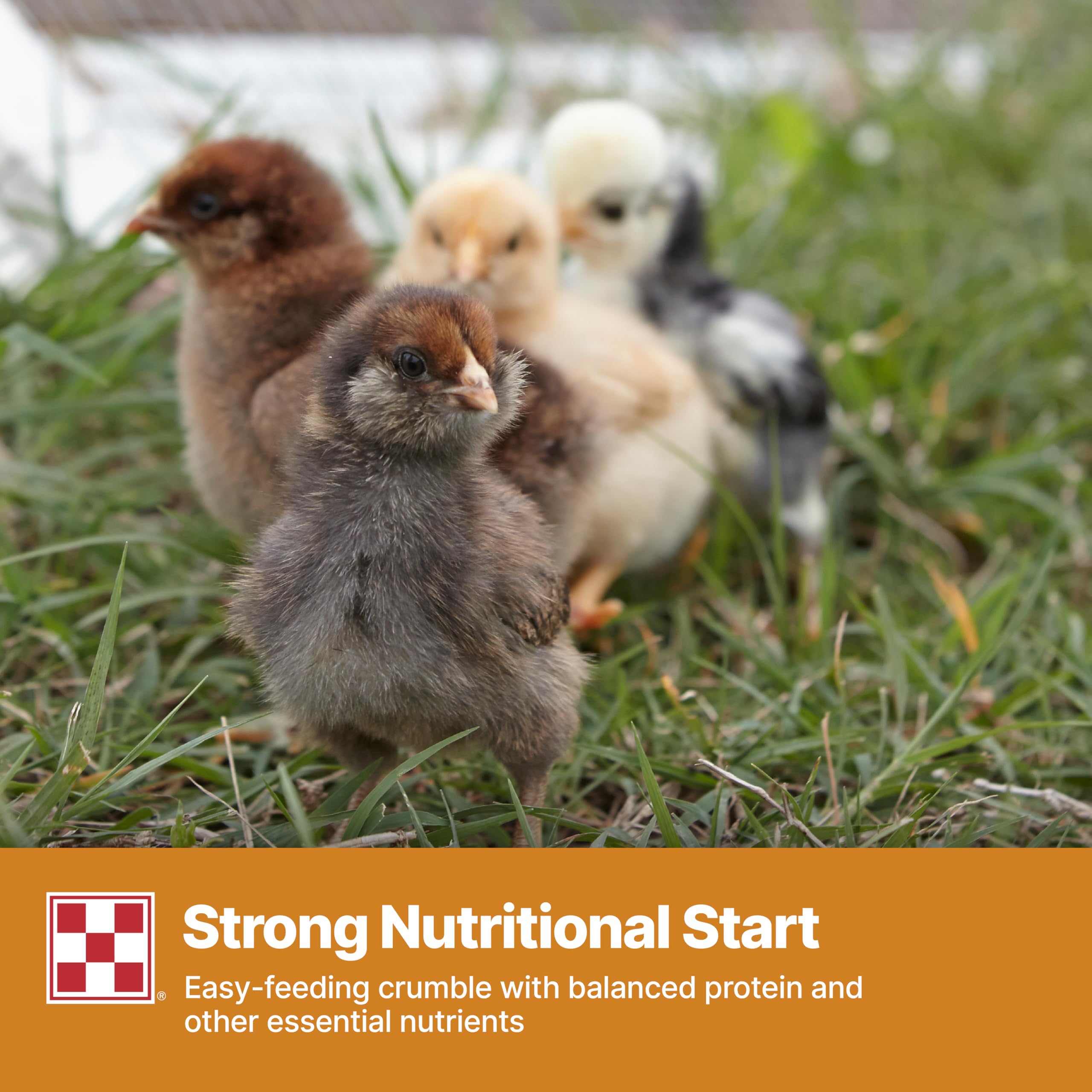 Purina Start and Grow vitamins image highlights vitamin A and E fortification for robust health