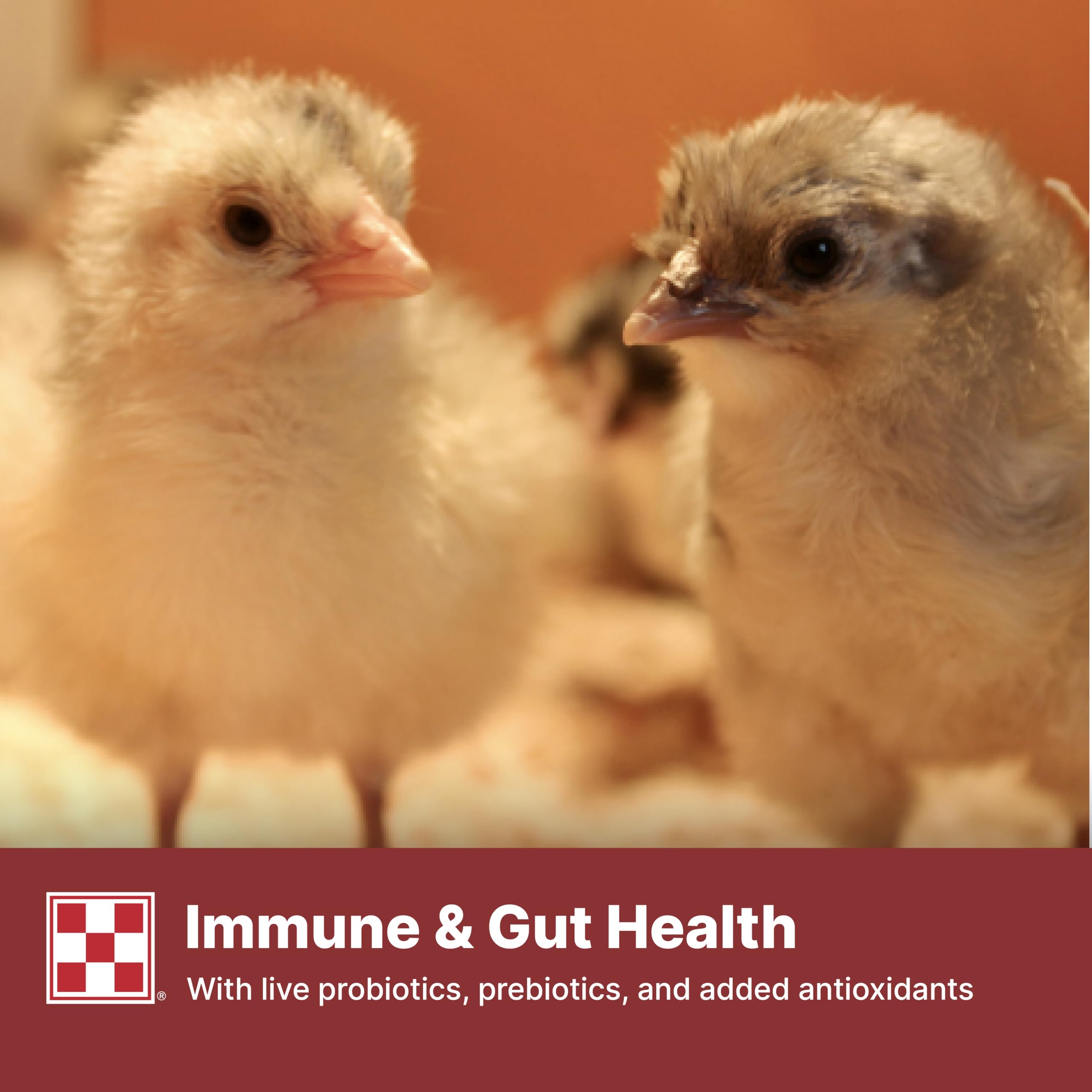 Purina Start & Grow color beaks visual with marigold extract emphasis