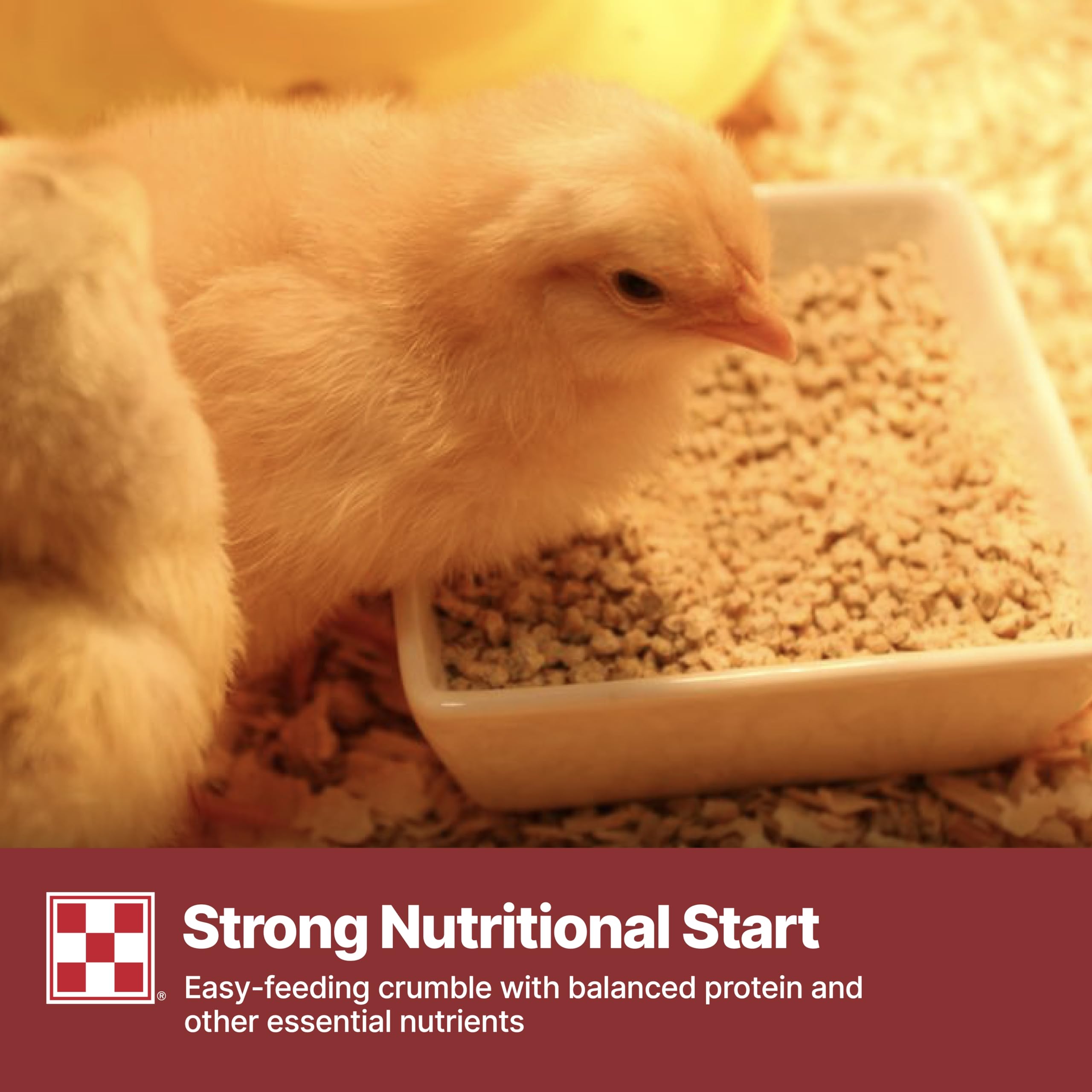 Purina Start & Grow crumble texture closeup for easy consumption
