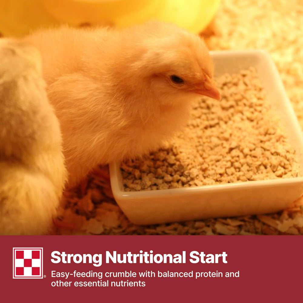 Purina Start & Grow crumble texture closeup for easy consumption
