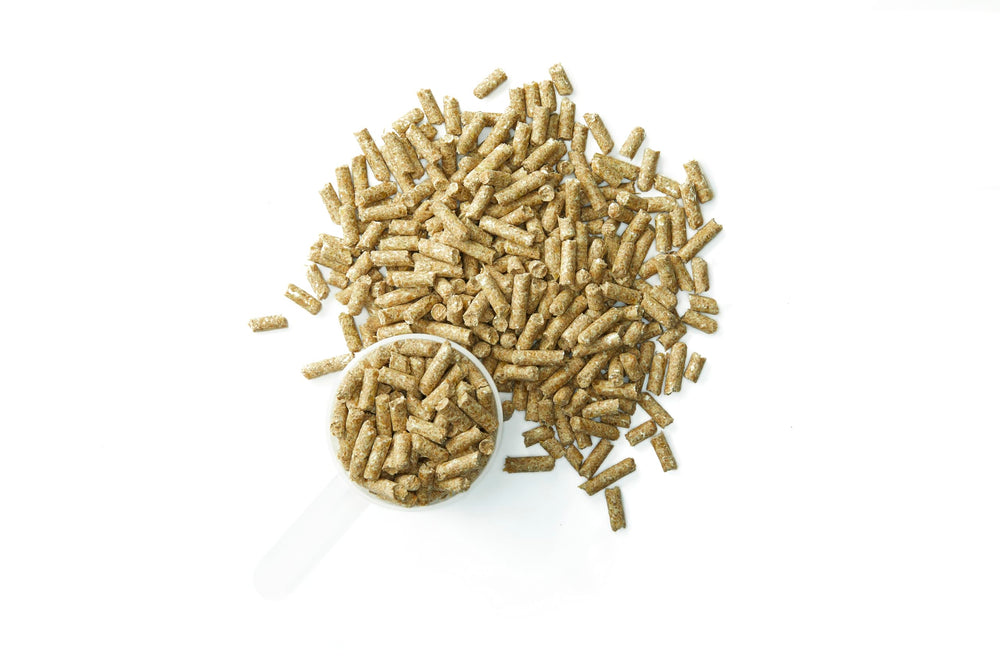 Purina Systemiq probiotic fecal-consistency closeup hints hindgut balance.