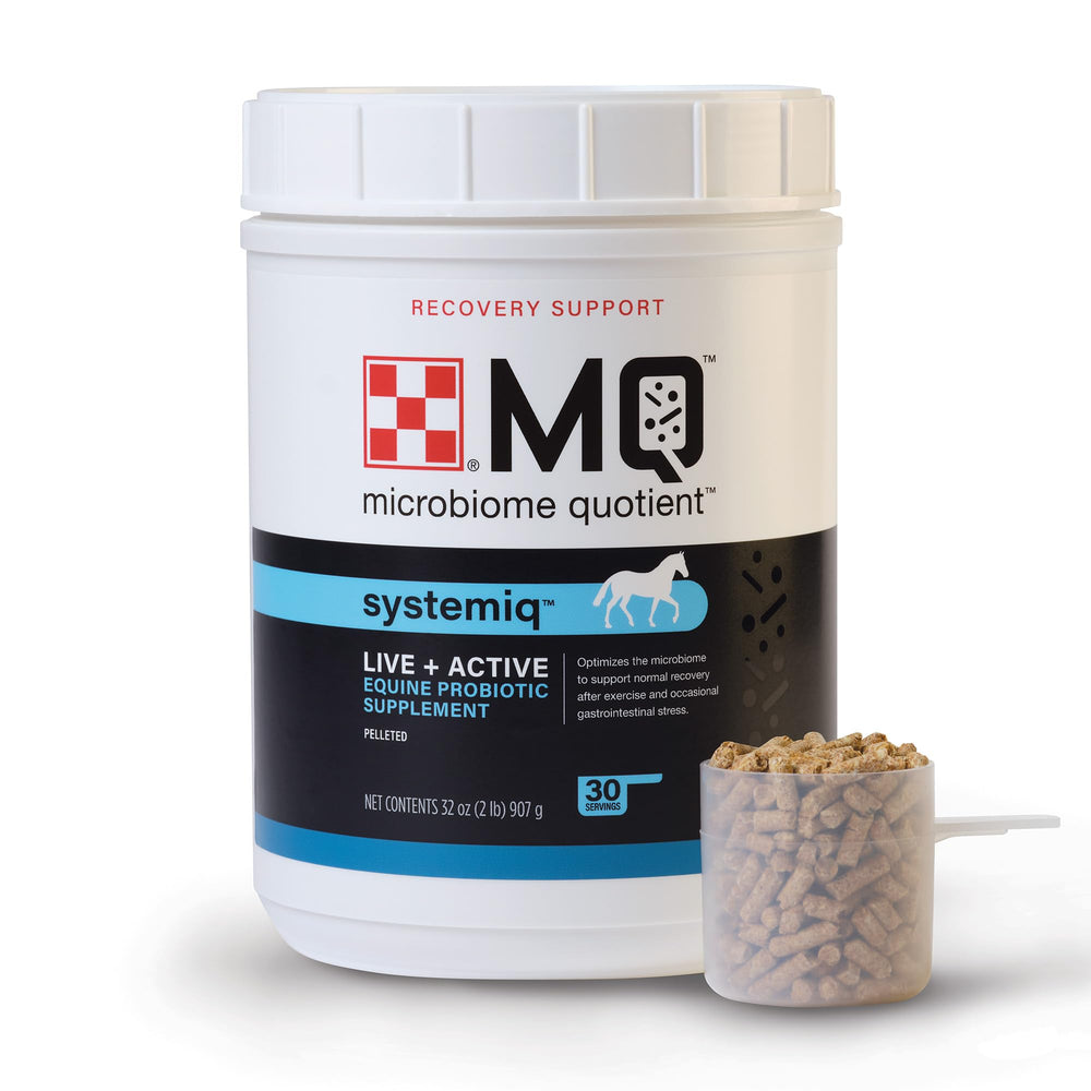 Purina Systemiq probiotic horse scoop-dispensing shows convenient dosing after exercise.