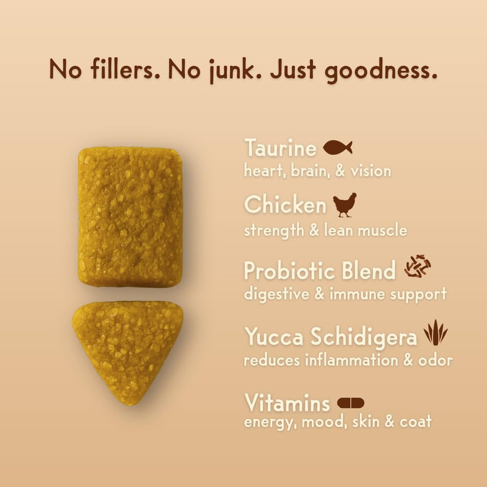 Purple Cat Feline Biome cat enjoying a chew for tasty digestive wellness.