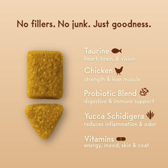 Purple Cat Feline Biome cat enjoying a chew for tasty digestive wellness.