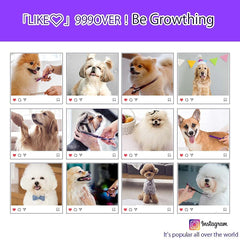 Purple Dragon 7in upward curved scissors for body fur trimming