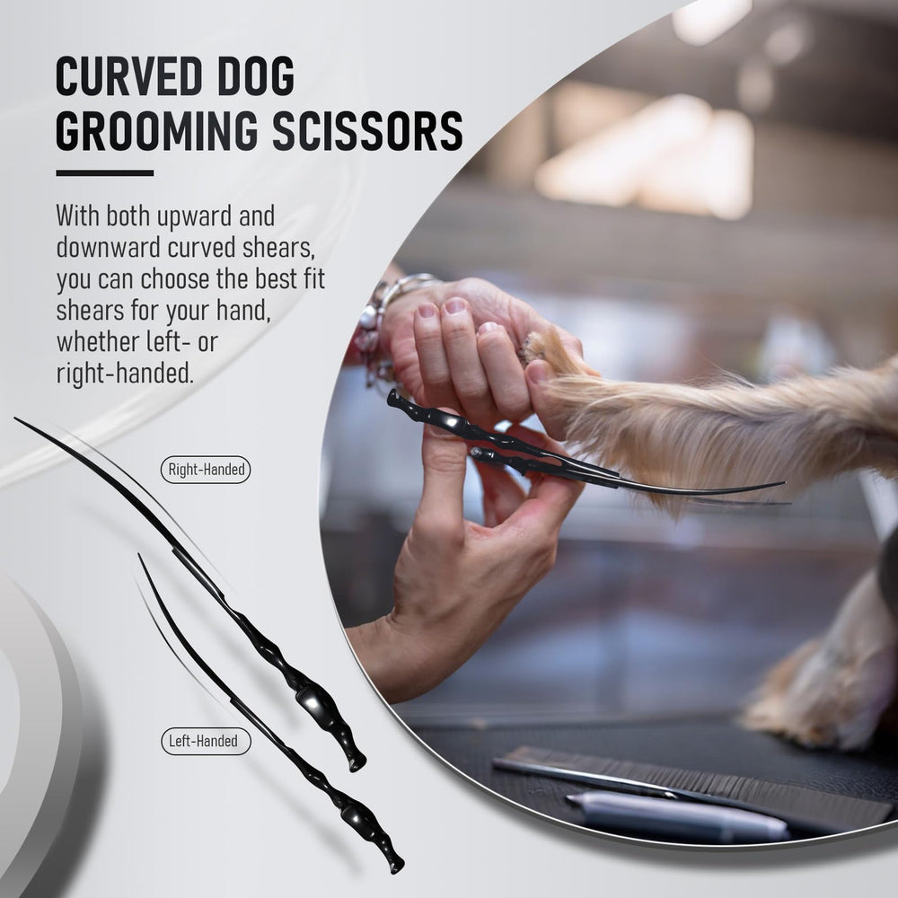Purple Dragon compact storage case keeps tools organized for home or mobile grooming.